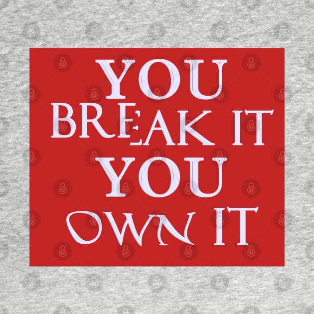 You Break It You Own It by Dearly Mu